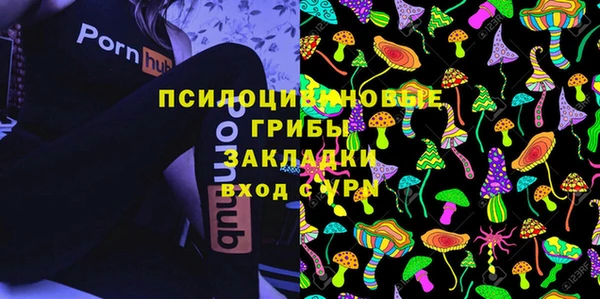 винт Алексин
