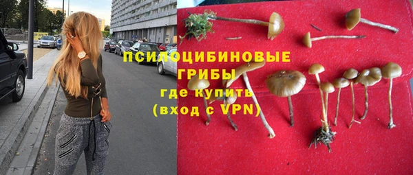альфа пвп Алзамай