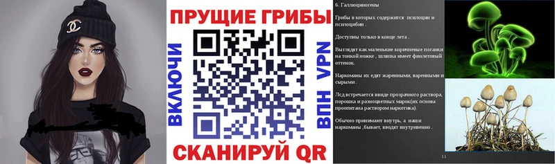 Галлюциногенные грибы MAGIC MUSHROOMS  Анадырь 